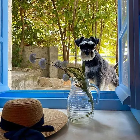 O Gatos Διαμέρισμα Pera Melana