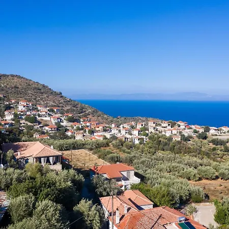 Διαμέρισμα O Gatos *