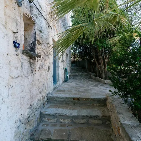 O Gatos * Pera Melana