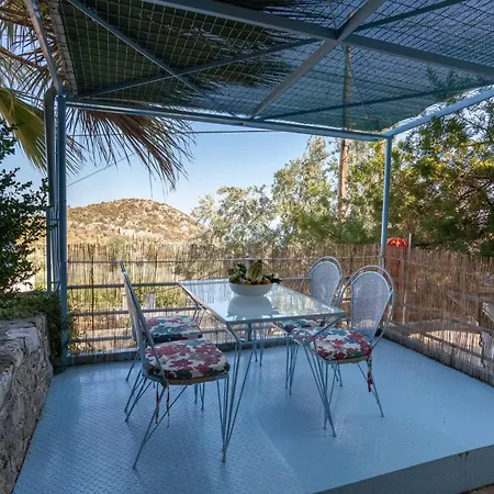 O Gatos Appartement *