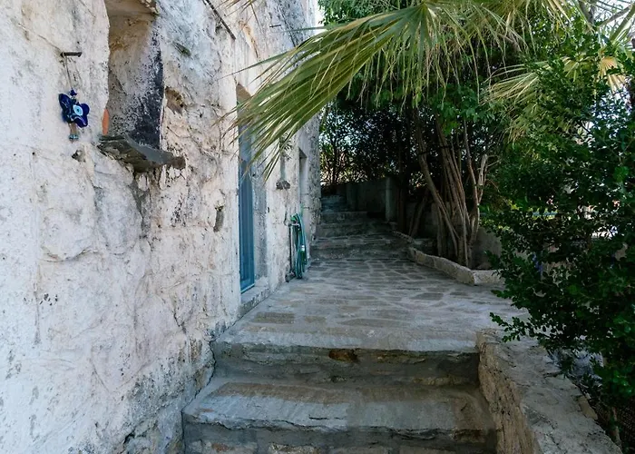 O Gatos * Pera Melana